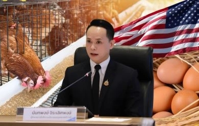 สนค. ถอดบทเรียนไข่ไก่สหรัฐฯ แนะใช้มาตรฐานความยั่งยืน เพิ่มโอกาสสร้างมูลค่าใหม่เจาะตลาดต่างประเทศ