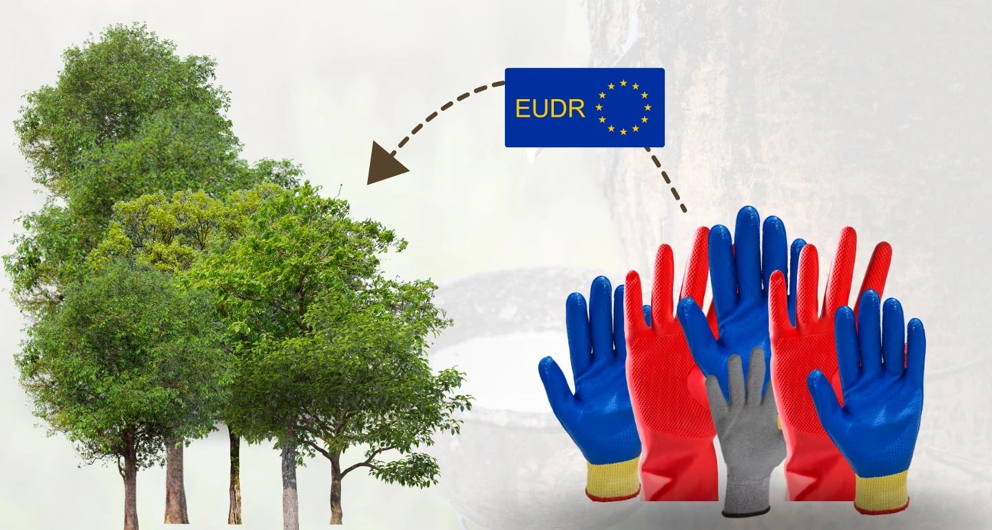 The New Global Arena: ถุงมือยางไทยกับกติกาใหม่ที่ต้องพิชิต