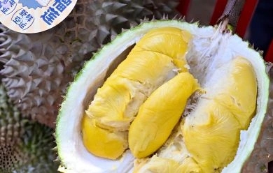 ผู้ประกอบการชี้ ความต้องการทุเรียนของตลาดจีน ยังห่างไกลจากจุดอิ่มตัว