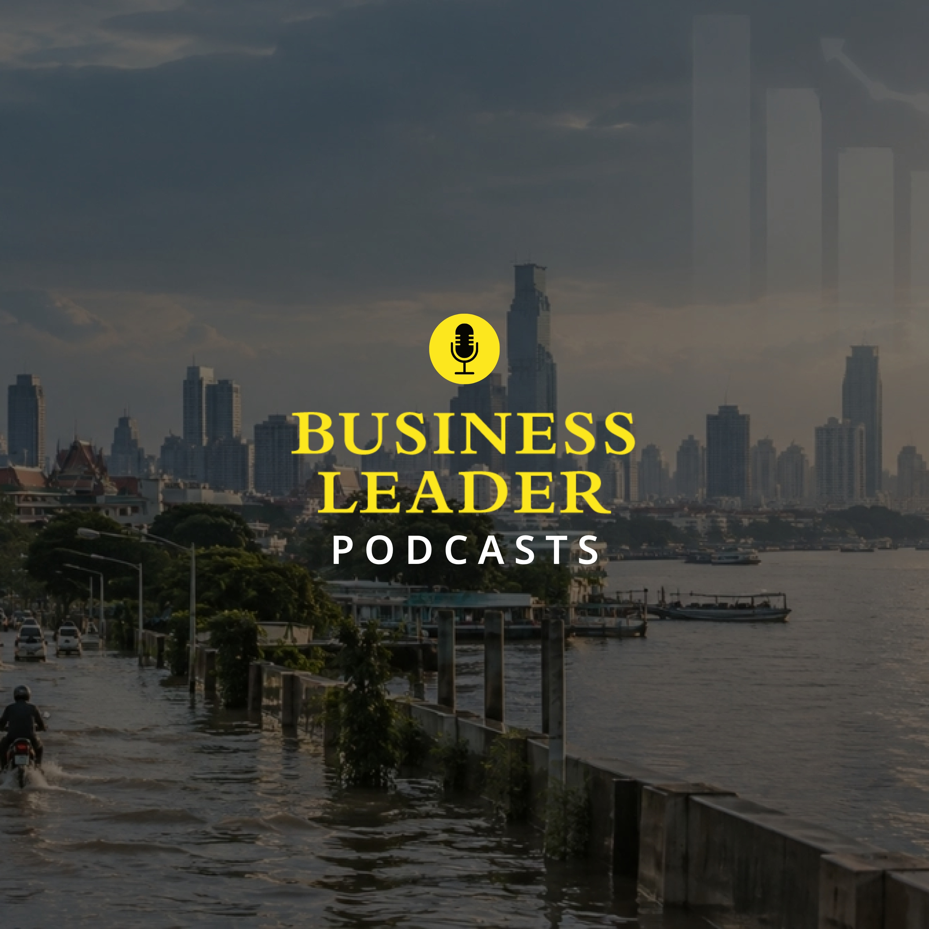 รูปปก Business Insight